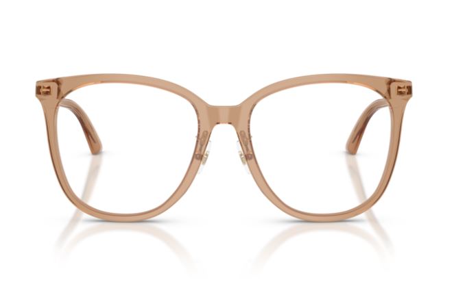 JIMMY CHOO JC3060F 5076