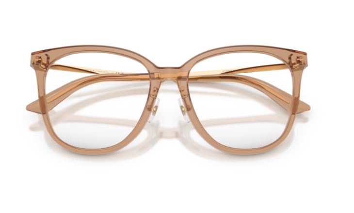 JIMMY CHOO JC3060F 5076