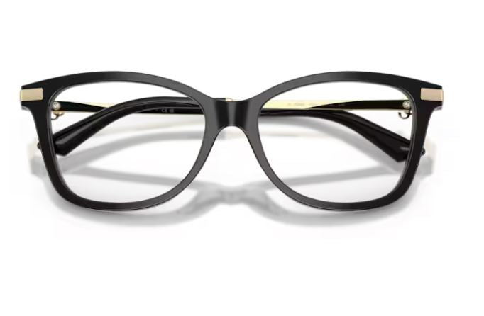 JIMMY CHOO JC3068B 5000