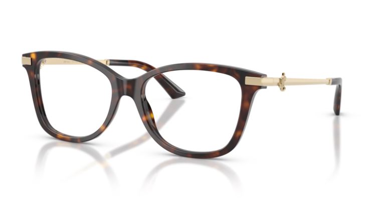JIMMY CHOO JC3068B 5002