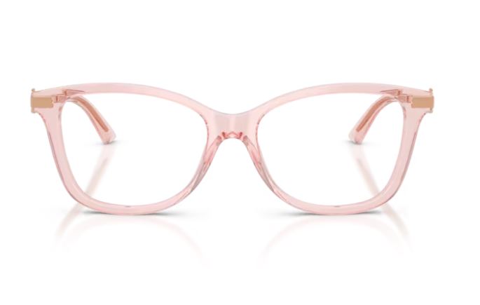 JIMMY CHOO JC3068B 5034