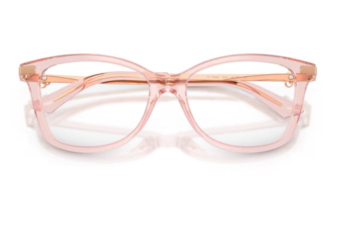 JIMMY CHOO JC3068B 5034