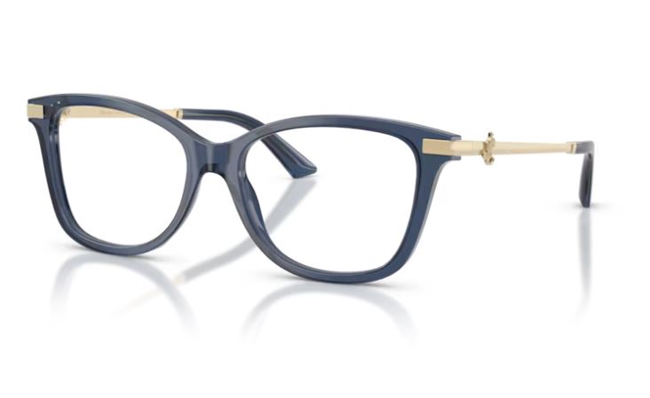 JIMMY CHOO JC3068B 5035