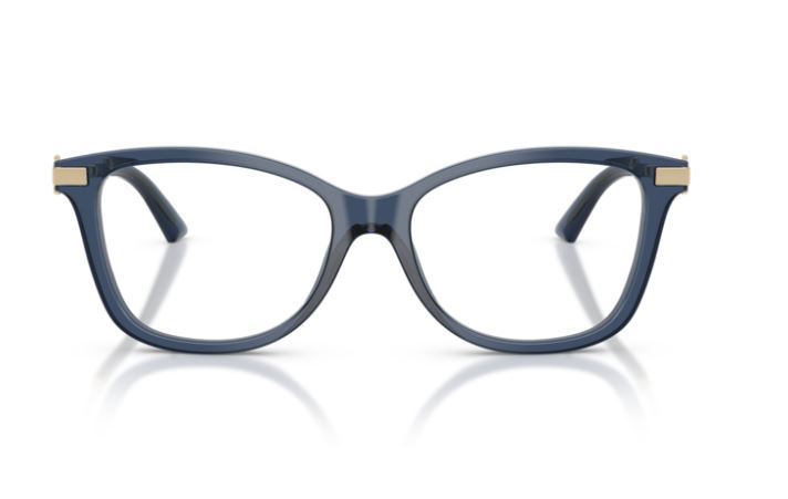 JIMMY CHOO JC3068B 5035
