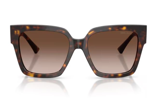 JIMMY CHOO JC5047BF 500213