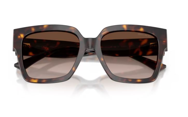 JIMMY CHOO JC5047BF 500213