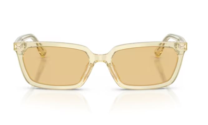 JIMMY CHOO JC5050U 50838