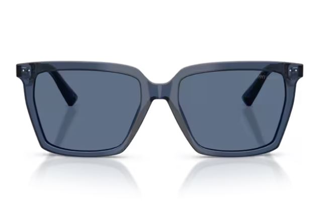 JIMMY CHOO JC5051 503580