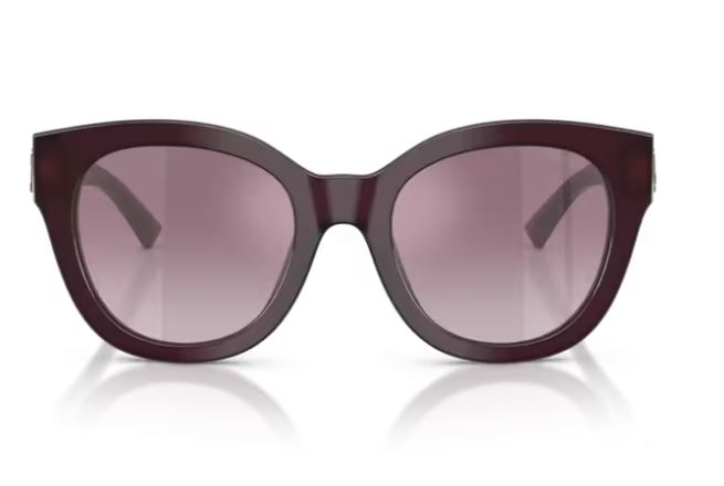 JIMMY CHOO JC5053 50866X