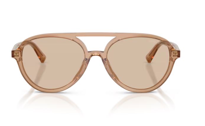 JIMMY CHOO JC5055U 507693