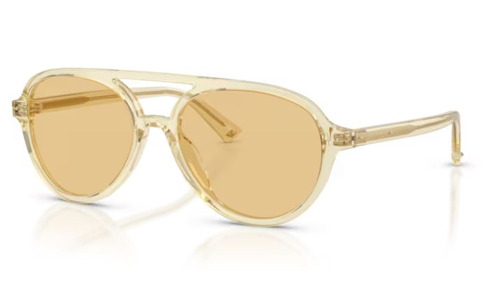 JIMMY CHOO JC5055U 50838
