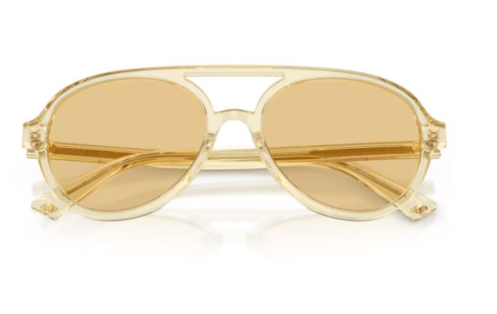 JIMMY CHOO JC5055U 50838