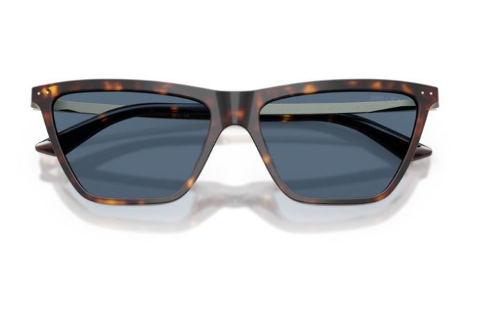 JIMMY CHOO JC5059U 500280