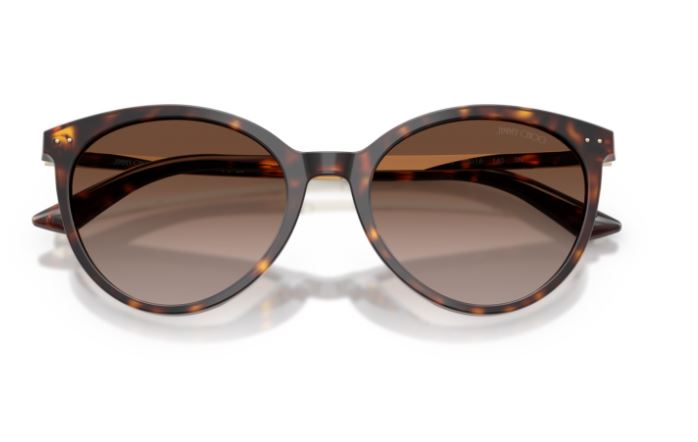 JIMMY CHOO JC5060 500213