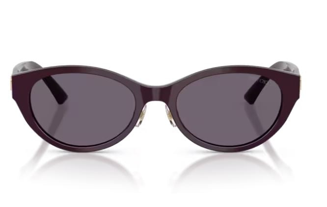 JIMMY CHOO JC5064D 50751A