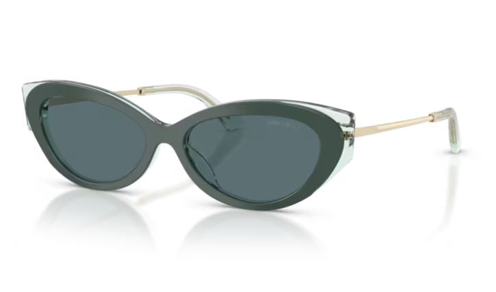JIMMY CHOO JC5065U 510487