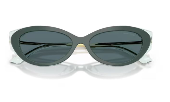 JIMMY CHOO JC5065U 510487