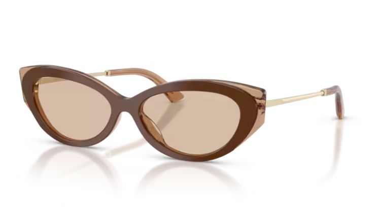 JIMMY CHOO JC5065U 510593