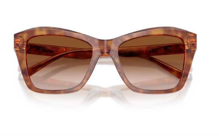 JIMMY CHOO JC5076 511413