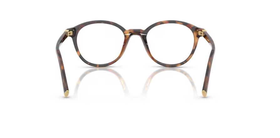 MIU MIU MU 02WV 19P1O1 - Havana ivy