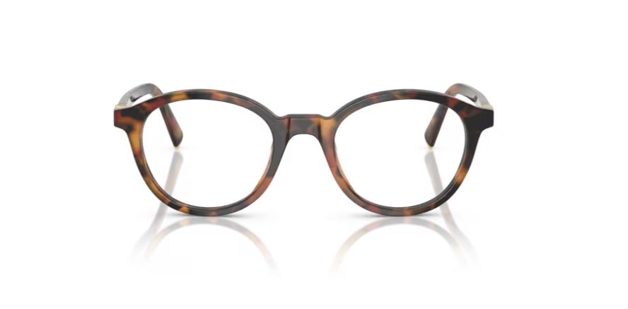 MIU MIU MU 02WV 19P1O1 - Havana ivy