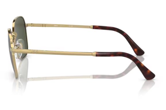 PERSOL PO1009S 51531