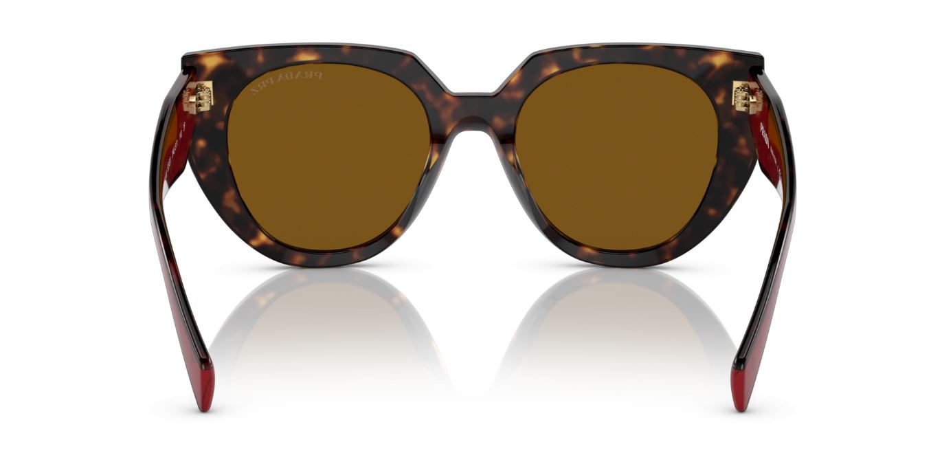 PRADA PR 14WS 2AU5Y1 Havana