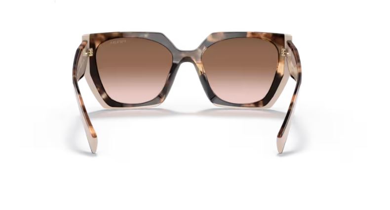 PRADA PR 15WS 01R0A6 - Tortoise caramel/powder