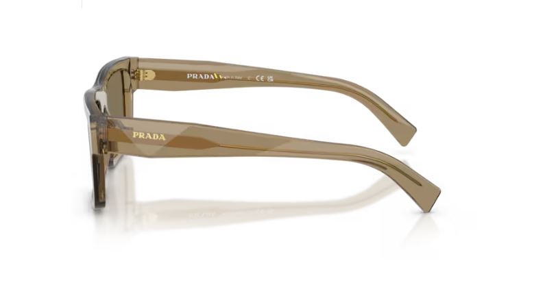 PRADA PR 19WS 29E90F Terra