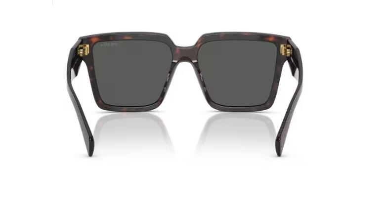 PRADA PR 24ZS 17N40L Root tortoise