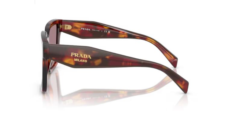 PRADA PR 24ZS 22A20I Poppy tortoise