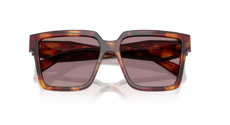 PRADA PR 24ZS 22A20I Poppy tortoise