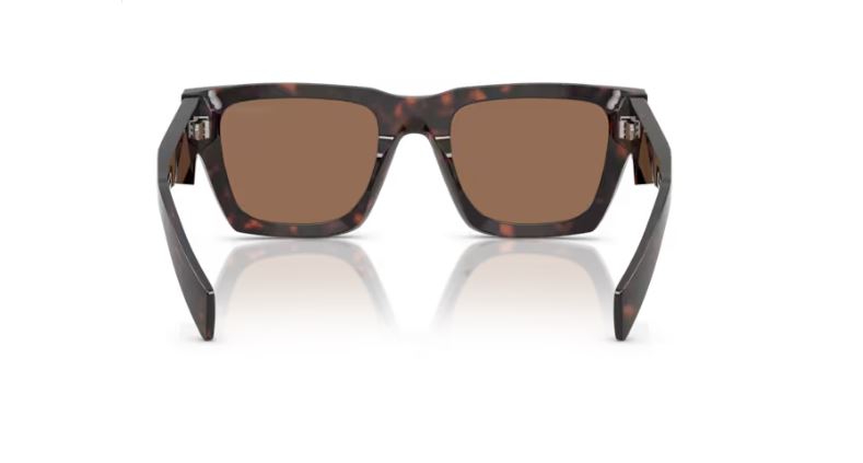 PRADA PR A06S 17N06B Root tortoise