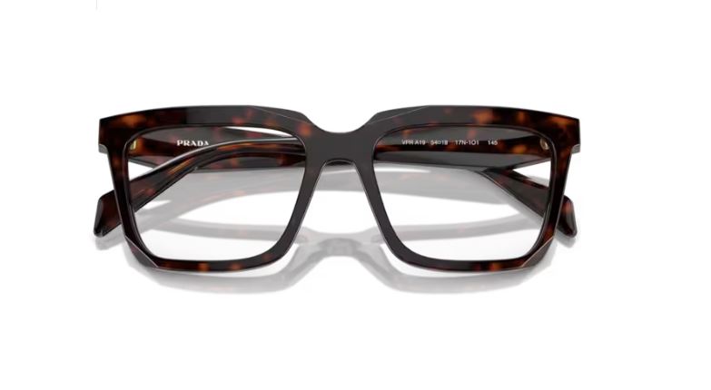 PRADA PR A19V 17N1O1 Root tortoise