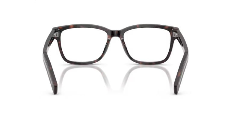 PRADA PR B10V 17N1O1 - Root havana