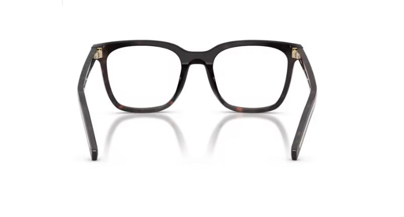 PRADA PR B11V 17N1O1 - Root tortoise