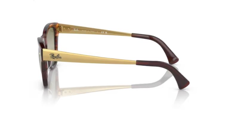 RAY-BAN RB0707SM 954G4