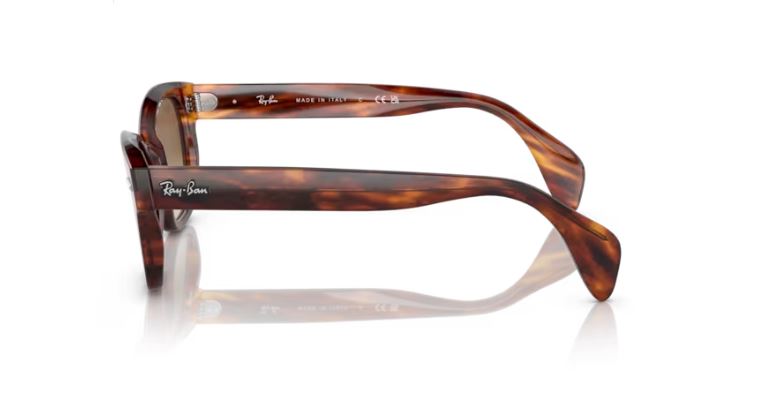 RAY-BAN RB0880S 95451