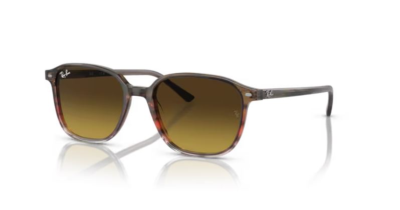 RAY-BAN RB2193 138085 - Leonard