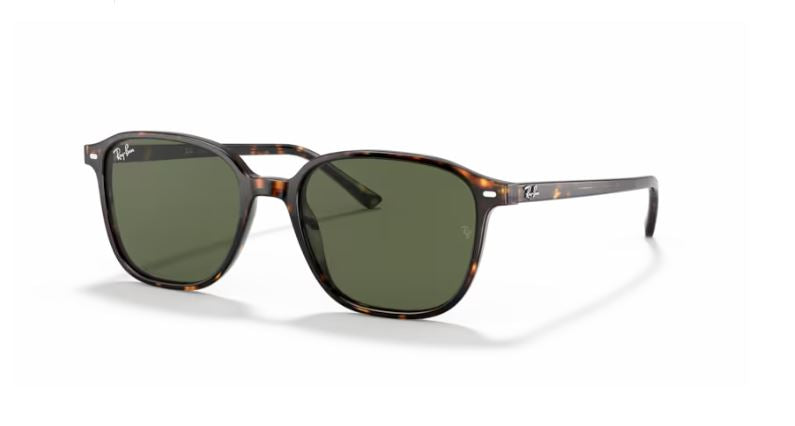 RAY-BAN RB2193 902-31 - Leonard