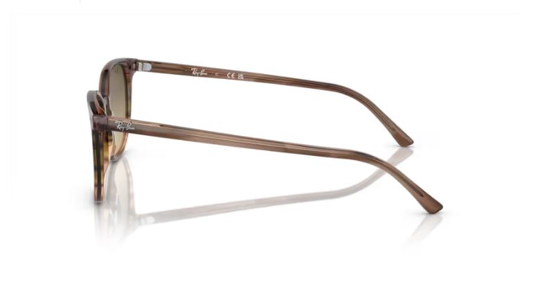 RAY-BAN RB2197 13920A - Elliot