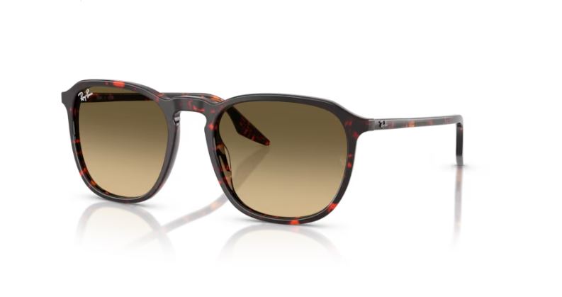RAY-BAN RB2203 14290A