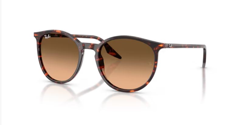 RAY-BAN RB2204 14293B 