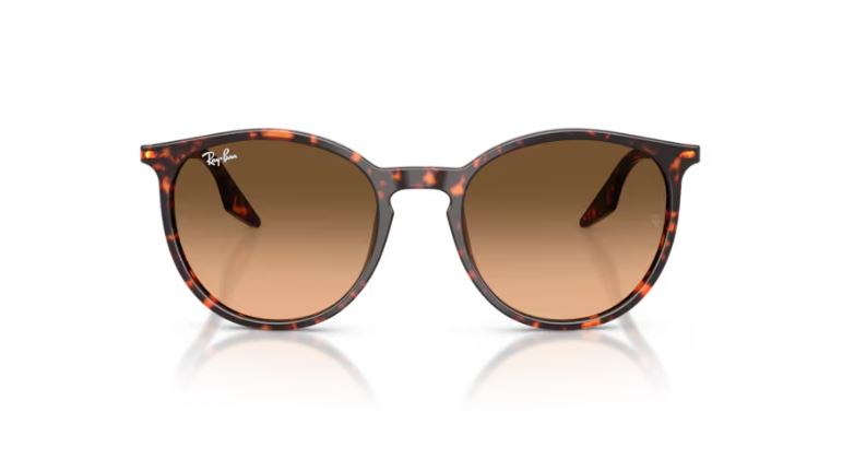 RAY-BAN RB2204 14293B 