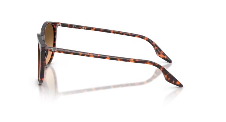 RAY-BAN RB2204 14293B 