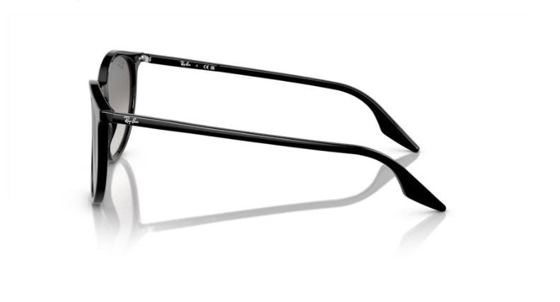 RAY-BAN RB2204 90132