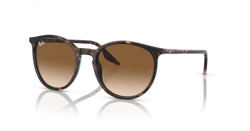 RAY-BAN RB2204 90251