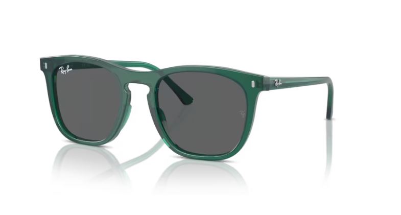 RAY-BAN RB2210 6615B1