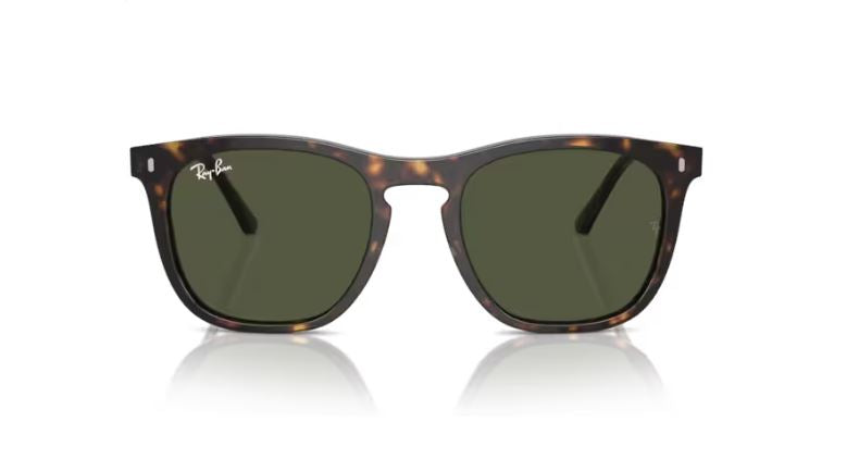 RAY-BAN RB2210 90231