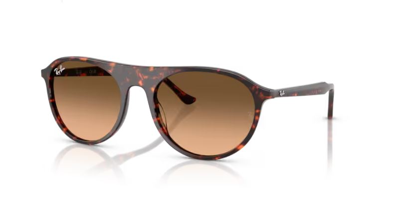 RAY-BAN RB2215 14293B
